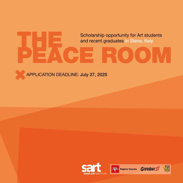 Borsa di studio: THE PEACE ROOM