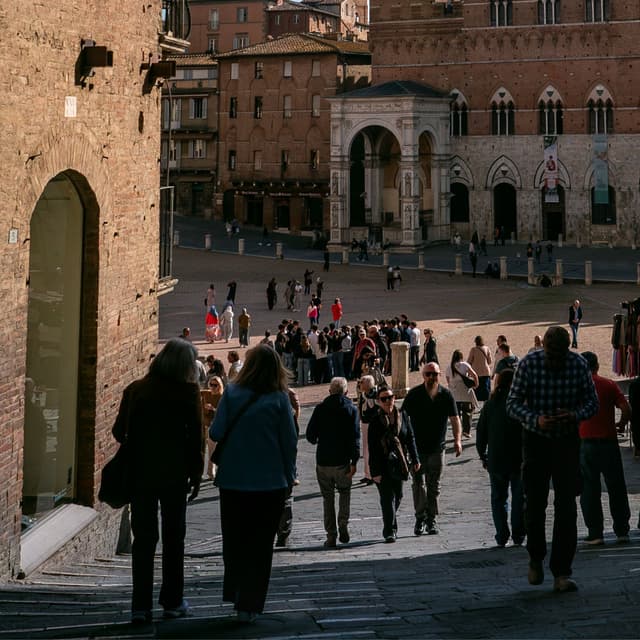 Art & Society in Siena