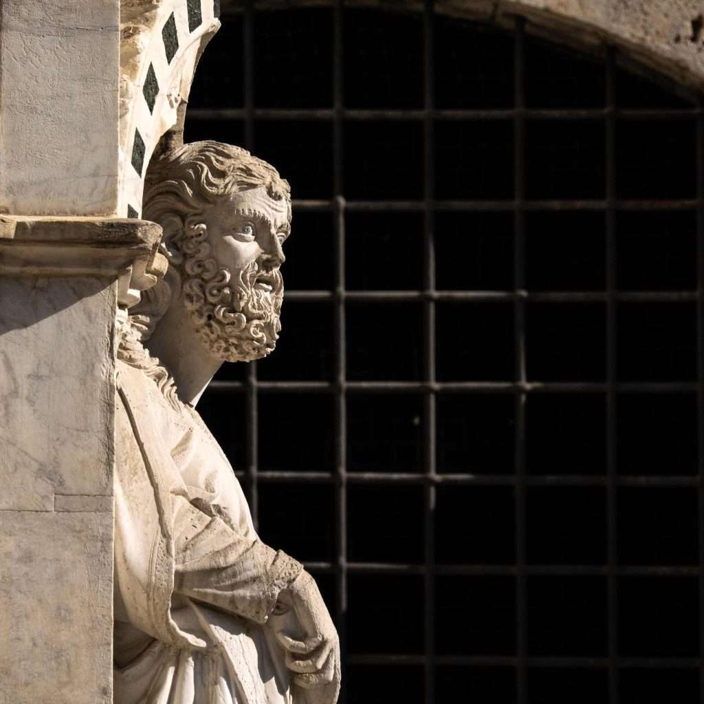 History and Theory of Museums